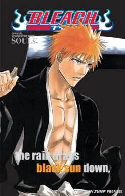 VIZ BOOKS Bleach Character Book 1 SOULs