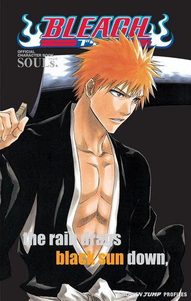 VIZ BOOKS Bleach Character Book 1 SOULs 3 VIZ BOOKS Bleach Character Book 1 SOULs