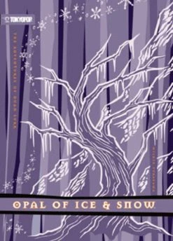 Tokyopop Adventures Of Duan Surk Novel Volume 4 The Opal Of Ice And Snow