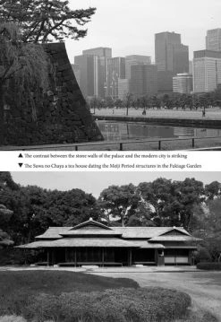 STONE BRIDGE PRESS Tokyo Stroll A Guide To City Sidetracks And Easy Explorations -UDON Entertainment Store 9781611720587 specialty book tokyo stroll a guide to city sidetracks and easy explorations altd