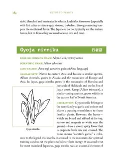 STONE BRIDGE PRESS Eating Wild Japan -UDON Entertainment Store 9781611720617 specialty book eating wild japan tracking the culture of foraged foods with a guide to plants and recipes altc