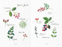 Shambhala Embroidered Garden Flowers -UDON Entertainment Store 9781611804546 specialty books embroidered garden flowers sample2