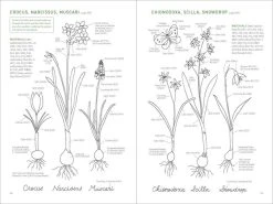 Shambhala Embroidered Garden Flowers -UDON Entertainment Store 9781611804546 specialty books embroidered garden flowers sample5