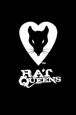 IMAGE COMICS Rat Queens Volume 1 Deluxe Edition Graphic Novel (Hardcover)