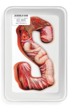 VERTICAL S:Es Novel (Hardcover)