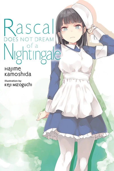 YEN ON Rascal Does Not Dream Of A Nightingale Novel 3 YEN ON Rascal Does Not Dream Of A Nightingale Novel