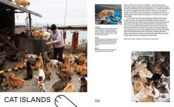 Prestel Land Of The Rising Cat Japan's Feline Fascination -UDON Entertainment Store 9783791384948 specialty book land of the rising cat japans feline fascination sample5