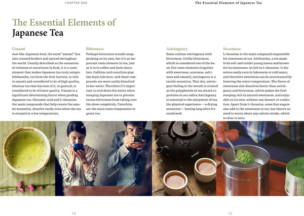 TUTTLE A Beginner's Guide To Japanese Tea 5 TUTTLE A Beginner's Guide To Japanese Tea - Image 3