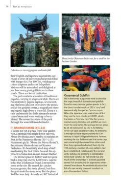 TUTTLE Okinawa And The Ryukyu Islands The First Comprehensive Guide To The Entire Ryukyu Island Chain -UDON Entertainment Store 9784805316986 specialty book okinawa and the ryukyu islands sample4